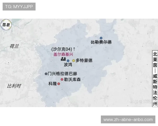 德甲2024赛季降级的三支球队及其赛季表现复盘