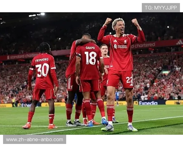 比利时球员活跃于英超球队